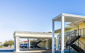 Mill Tree Inn Millington